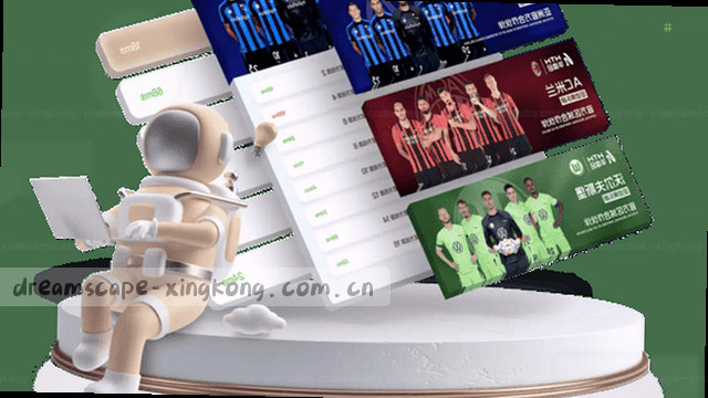 观星入口专属适配方案